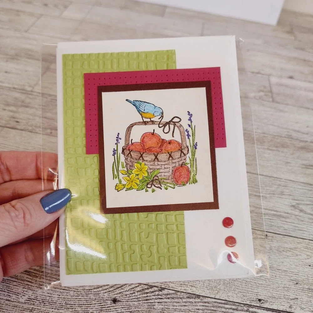 Handmade Card Apple Basket Bluebird‎ Blank Note Card Greeting Card Any Occasion